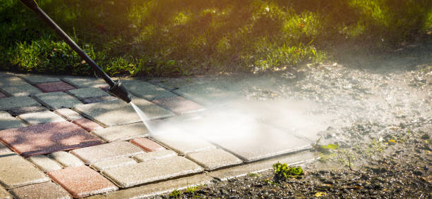 Best Warehouse Cleaning  in Lindstrom, MN