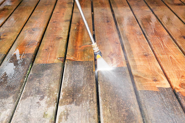Best Fence Cleaning  in Lindstrom, MN